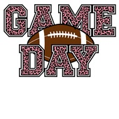 Epic Ladies Game Day Football Leopard Pink BCA V-Neck Graphic T-Shirts