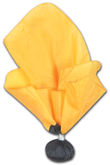 Champro Flag with Ball - Thumbnail 2