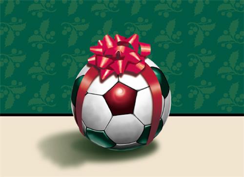 Gift Wrapped Soccer Ball Greeting Cards