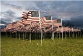 Marksmart 7', 7'5", 10' Flag Pole Set with US Flag