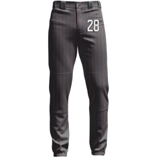 Under Armour Men's Utility Baseball Pants 1374374 | Epic Sports