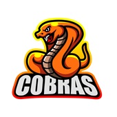 Epic Adult/Youth Cobras Orange Mascot Club Sports Team Cotton Graphic T-Shirts