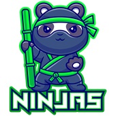 Epic Ladies Ninjas Panda Mascot Club Rec Sports Team V-Neck Graphic T-Shirts