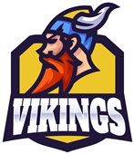 Epic Ladies Vikings Yellow Mascot League Sports Team V-Neck Graphic T-Shirts