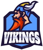 Epic Ladies Vikings Blue Mascot League Sports Team V-Neck Graphic T-Shirts