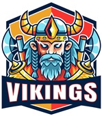 Epic Ladies Vikings Orange Mascot League Sports Team V-Neck Graphic T-Shirts