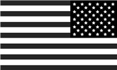 Epic Ladies USA Flag Flipped Black & White Mascot V-Neck Graphic T-Shirts