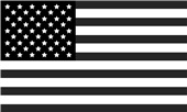 Epic Ladies USA Flag Black & White Mascot League V-Neck Graphic T-Shirts