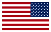Epic Adult/Youth USA Flag Outlined Flipped Mascot League Cotton Graphic T-Shirts