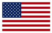 Epic Adult/Youth USA Flag Outlined Mascot League Team Cotton Graphic T-Shirts