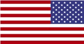 Epic Adult/Youth USA Flag Bright Flipped Mascot Team Cotton Graphic T-Shirts