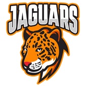 Epic Ladies Jaguars Orange Mascot League Sports Team V-Neck Graphic T-Shirts