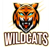 Epic Ladies Wildcats Gold Mascot League Sports Team V-Neck Graphic T-Shirts