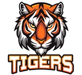 Epic Ladies Tigers Stare Mascot League Sports Team V-Neck Graphic T-Shirts