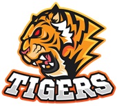 Epic Ladies Tigers Side Mascot League Sports Team V-Neck Graphic T-Shirts