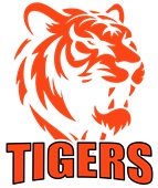 Epic Ladies Tigers Orange Mascot League Sports Team V-Neck Graphic T-Shirts