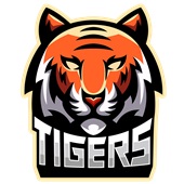 Epic Ladies Tigers Contemporary Mascot League Team V-Neck Graphic T-Shirts