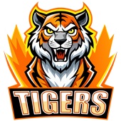 Epic Adult/Youth Tigers Fire Mascot League Sports Team Cotton Graphic T-Shirts