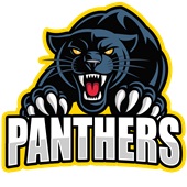 Epic Adult/Youth Panthers Gold Mascot League Sports Team Cotton Graphic T-Shirts