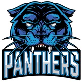 Epic Adult/Youth Panthers Fangs Mascot League Team Sports Cotton Graphic T-Shirts