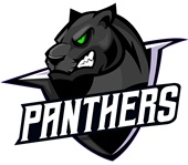 Epic Adult/Youth Panthers Black Mascot League Team Sports Cotton Graphic T-Shirts