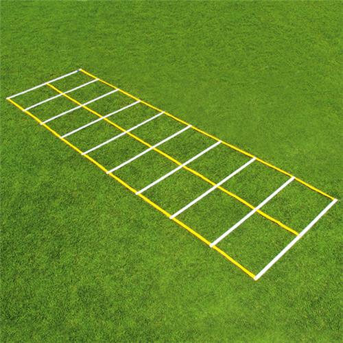Fisher 15' Double Speed Ladders