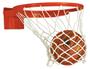 Bison Baseline Collegiate 180 Competition Breakaway Basketball Goal For 42" Boards BA3180S