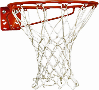 Bison Economy Basketball Goal