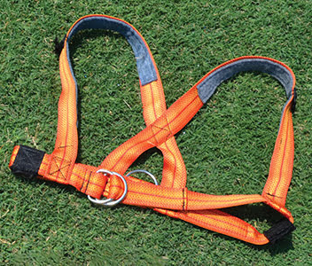 Fisher Footbal Harness with Metal Clip