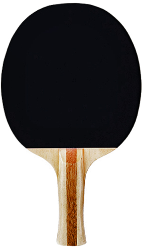 Martin Sports Table Tennis Ping Pong Paddles