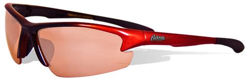 Maxx MLB Houston Astros Scorpion Sunglasses