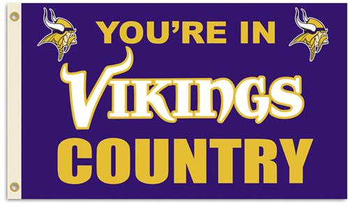 NFL You're in Vikings Country 3' x 5' Flag