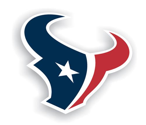 NFL Houston Texans Logo 12" Die Cut Car Magnet