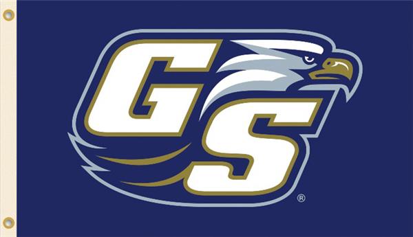 COLLEGIATE Georgia Southern 2nd Logo 3' x 5' Flag