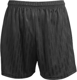 Teamwork Adult & Youth Supermatch Soccer Shorts