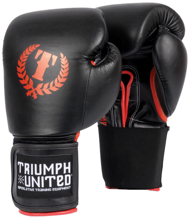 Triumph muay hot sale thai gloves