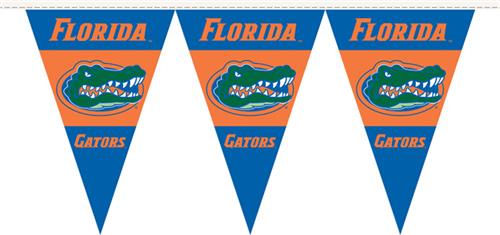 COLLEGIATE Florida Party Pennant Flags