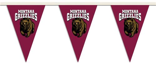 COLLEGIATE Montana Party Pennant Flags