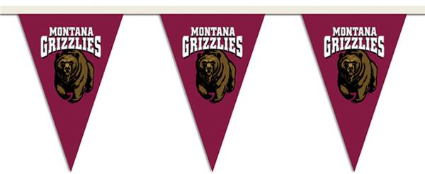 COLLEGIATE Montana Party Pennant Flags