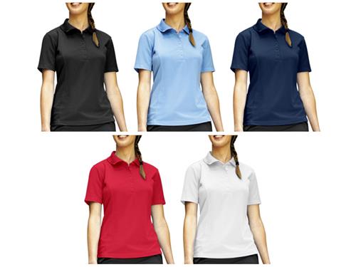 Landway Ladies Club Moisture Wicking Polo Shirts. Printing is available for this item.