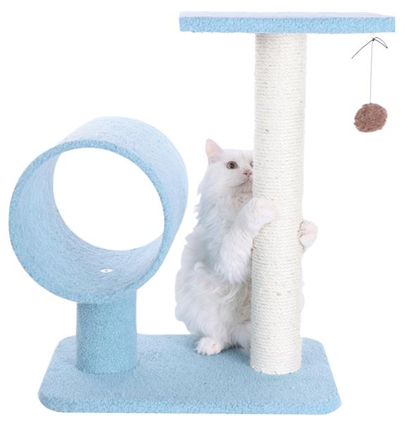 Armarkat Sky Blue 25