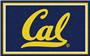 Fan Mats NCAA Univ of California Berkeley 4x6 Rug