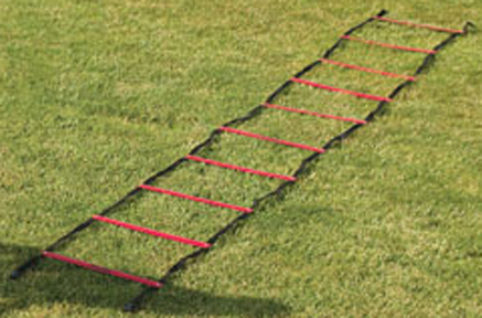 Gill Athletics PowerMax 30' Agility Ladder