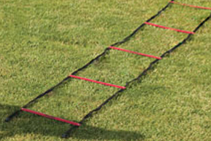 Gill Athletics PowerMax 37'6" Acceleration Ladder