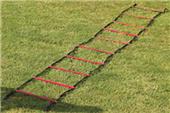 PowerMax 15' Agility Ladder