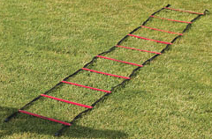 PowerMax 15' Agility Ladder