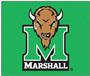 Fan Mats Marshall University Tailgater Mat