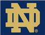 Fan Mats Notre Dame All Star Mat