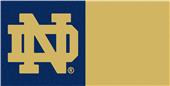 Fan Mats Notre Dame Carpet Tiles