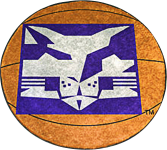 Fan Mats NYU Basketball Mat
